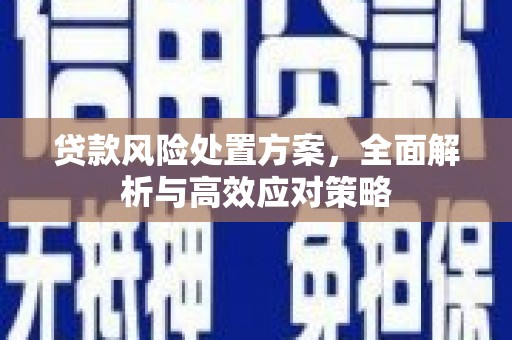 林甸贷款风险处置方案，全面解析与高效应对策略