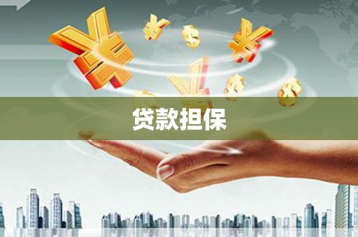 林甸贷款担保