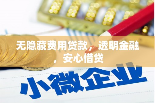 林甸无隐藏费用贷款，透明金融，安心借贷