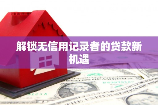 林甸解锁无信用记录者的贷款新机遇
