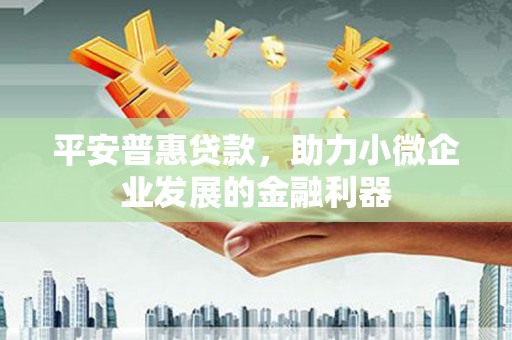 林甸平安普惠贷款，助力小微企业发展的金融利器