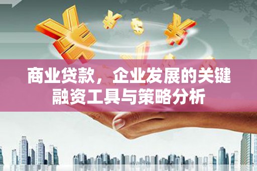林甸商业贷款，企业发展的关键融资工具与策略分析