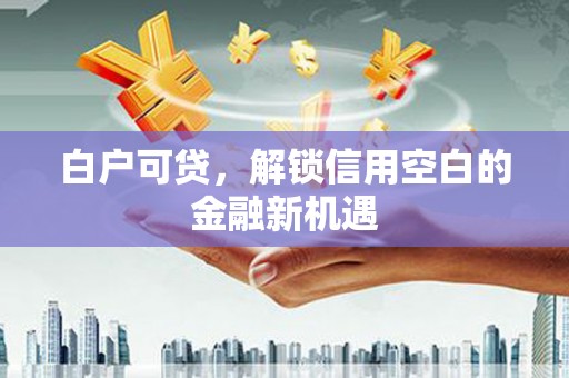 林甸白户可贷，解锁信用空白的金融新机遇