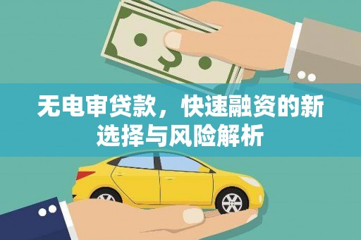 林甸无电审贷款，快速融资的新选择与风险解析