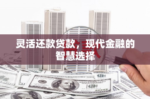 林甸灵活还款贷款，现代金融的智慧选择