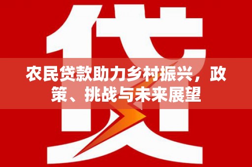 林甸农民贷款助力乡村振兴，政策、挑战与未来展望