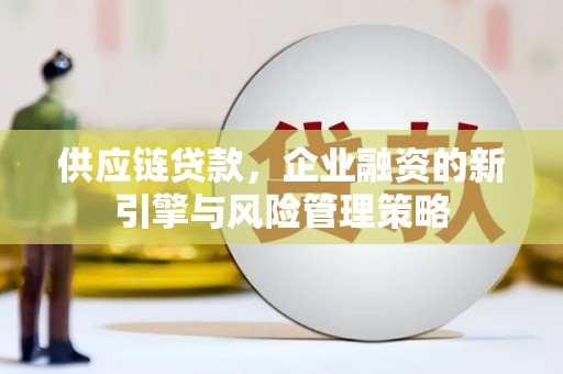 林甸供应链贷款，企业融资的新引擎与风险管理策略