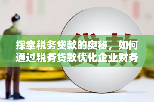 林甸探索税务贷款的奥秘，如何通过税务贷款优化企业财务