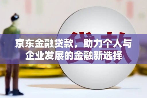 林甸京东金融贷款，助力个人与企业发展的金融新选择