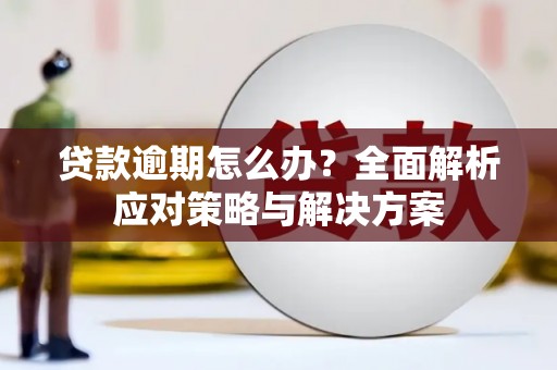 林甸贷款逾期怎么办？全面解析应对策略与解决方案