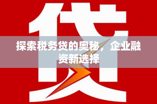 林甸探索税务贷的奥秘，企业融资新选择
