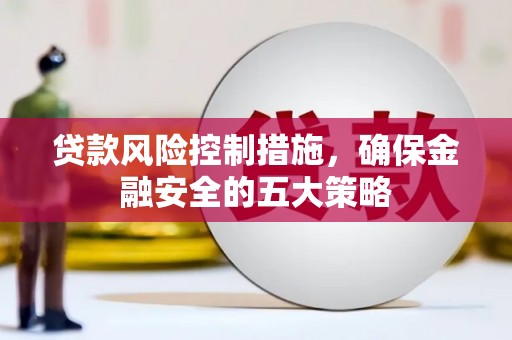 林甸贷款风险控制措施，确保金融安全的五大策略