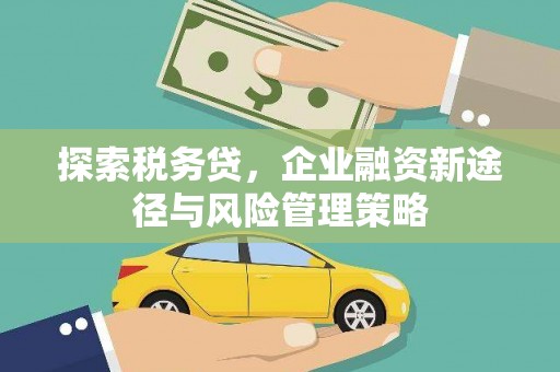 林甸探索税务贷，企业融资新途径与风险管理策略