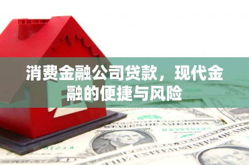 林甸消费金融公司贷款，现代金融的便捷与风险