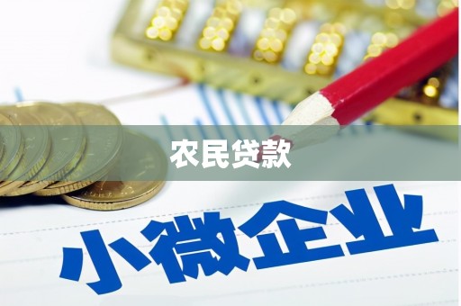 林甸农民贷款