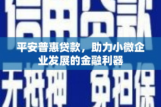 林甸平安普惠贷款，助力小微企业发展的金融利器