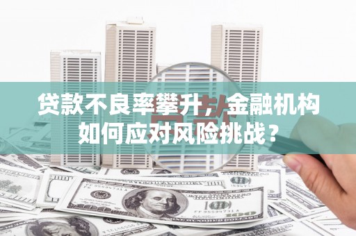 林甸贷款不良率攀升，金融机构如何应对风险挑战？