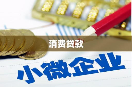 林甸消费贷款