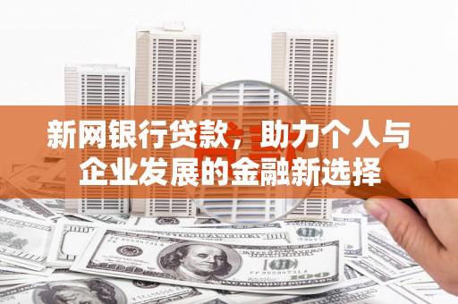 林甸新网银行贷款，助力个人与企业发展的金融新选择