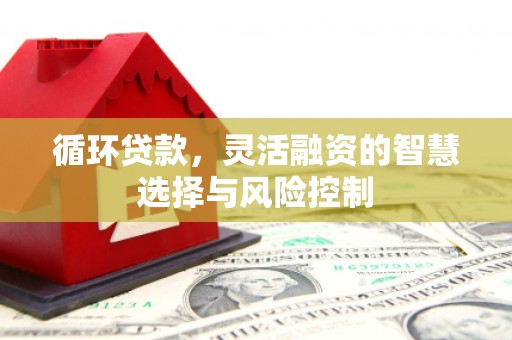 林甸循环贷款，灵活融资的智慧选择与风险控制