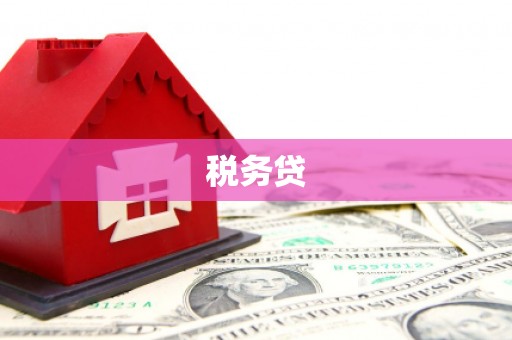 林甸税务贷