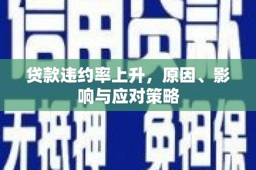 林甸贷款违约率上升，原因、影响与应对策略