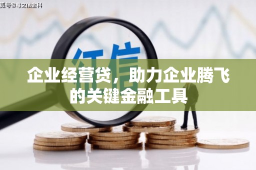 林甸企业经营贷，助力企业腾飞的关键金融工具