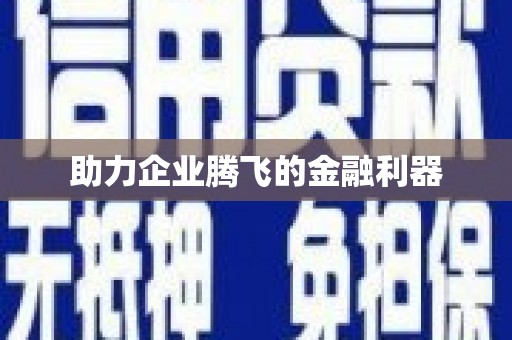 林甸助力企业腾飞的金融利器