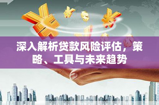 林甸深入解析贷款风险评估，策略、工具与未来趋势