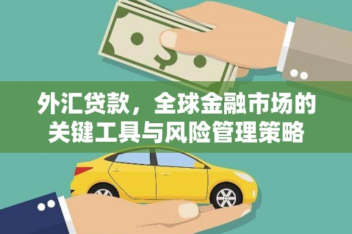 林甸外汇贷款，全球金融市场的关键工具与风险管理策略
