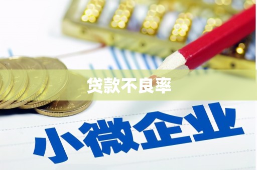 林甸贷款不良率
