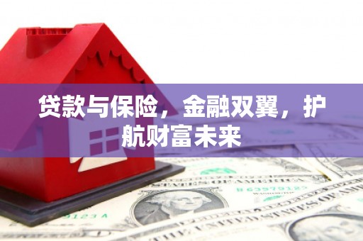 林甸贷款与保险，金融双翼，护航财富未来