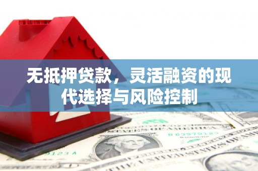林甸无抵押贷款，灵活融资的现代选择与风险控制
