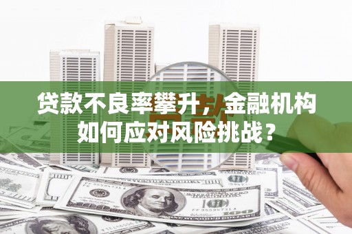 林甸贷款不良率攀升，金融机构如何应对风险挑战？