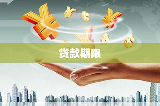 林甸贷款期限