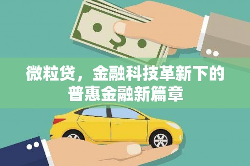 林甸微粒贷，金融科技革新下的普惠金融新篇章