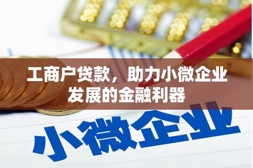 林甸工商户贷款，助力小微企业发展的金融利器