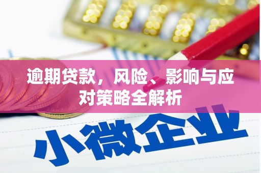 林甸逾期贷款，风险、影响与应对策略全解析