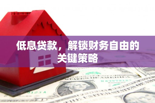 林甸低息贷款，解锁财务自由的关键策略