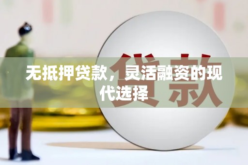 林甸无抵押贷款，灵活融资的现代选择