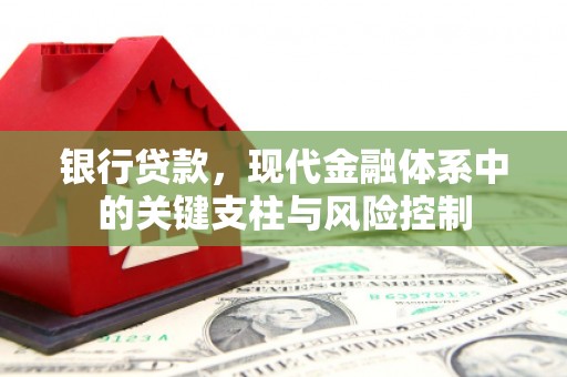 林甸银行贷款，现代金融体系中的关键支柱与风险控制