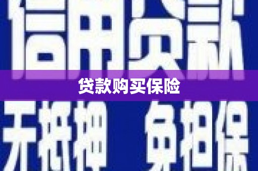 林甸贷款购买保险