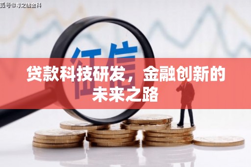 林甸贷款科技研发，金融创新的未来之路