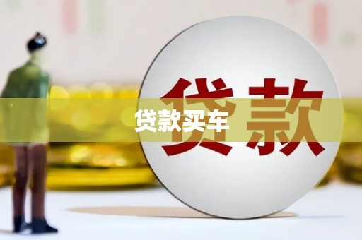 林甸贷款买车