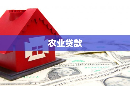 林甸农业贷款