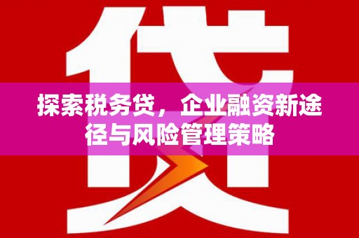 林甸探索税务贷，企业融资新途径与风险管理策略