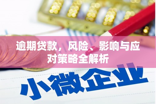 林甸逾期贷款，风险、影响与应对策略全解析