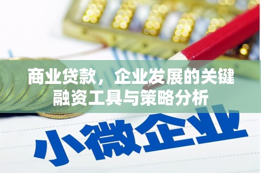 林甸商业贷款，企业发展的关键融资工具与策略分析