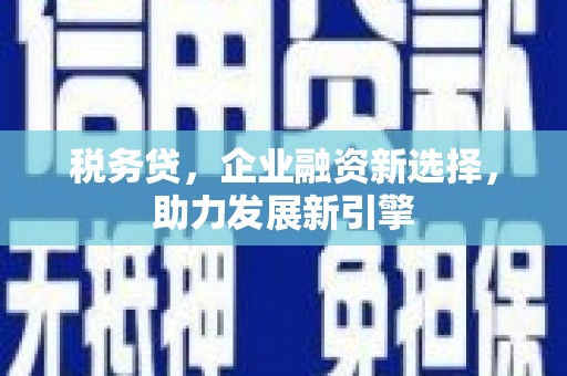 林甸税务贷，企业融资新选择，助力发展新引擎