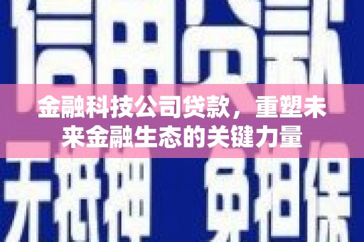 林甸金融科技公司贷款，重塑未来金融生态的关键力量